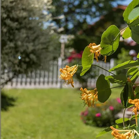 Im Gaestehaus Maximilian *